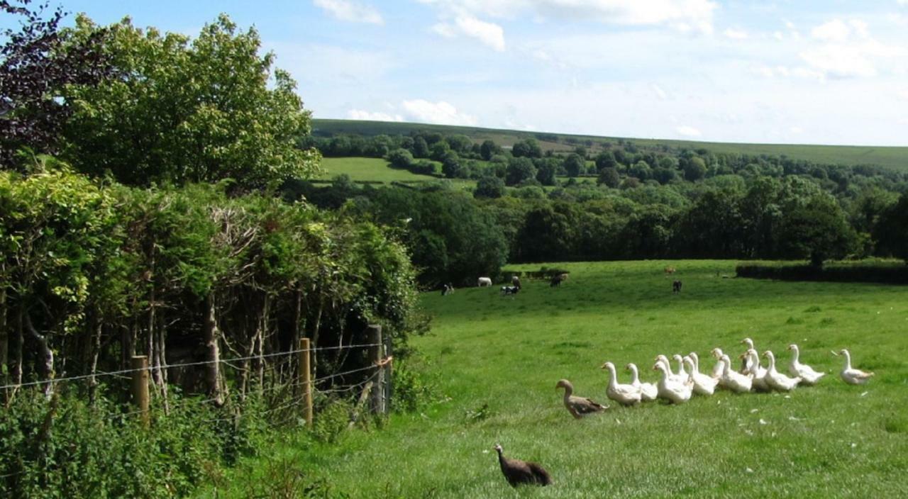 Heathergate Cottage Dartmoor Bnb Lydford Extérieur photo